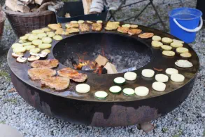 Sommer-Grillfest bei Högls © Fotos: Suhling 